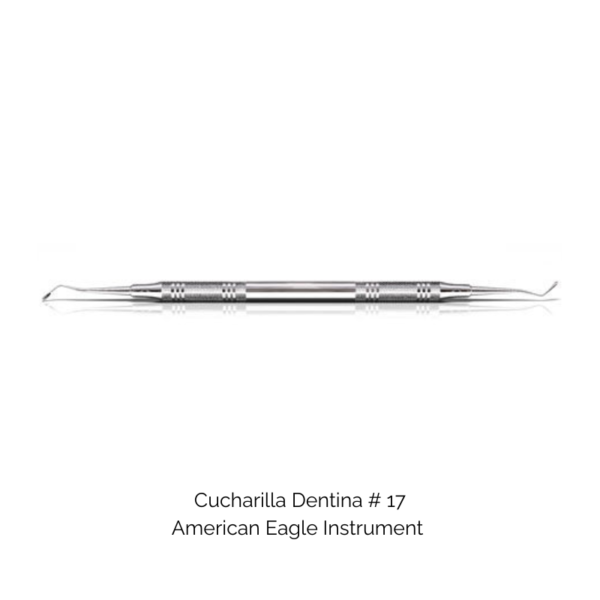 Cucharilla Dentina # 17 - American Eagle