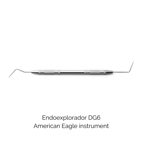 Endoexplorador DG6 - American Eagle