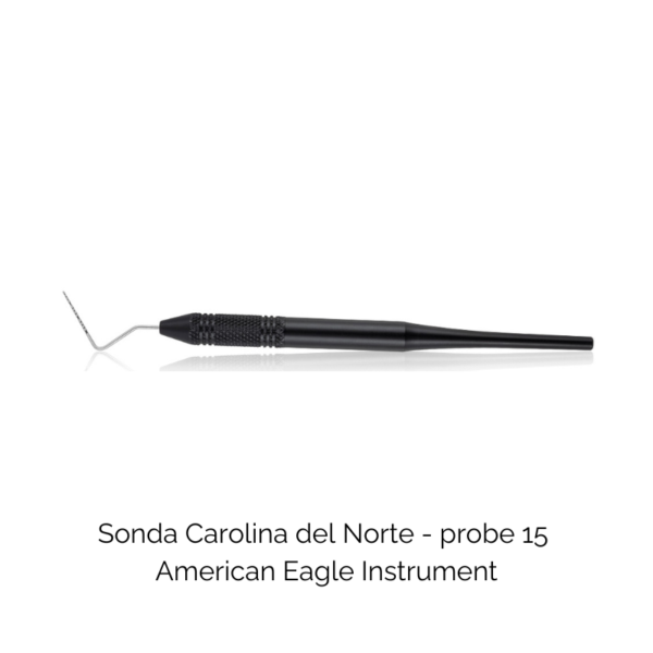 Sonda Carolina del Norte Probe 15 TUNG/BLACK - American Eagle